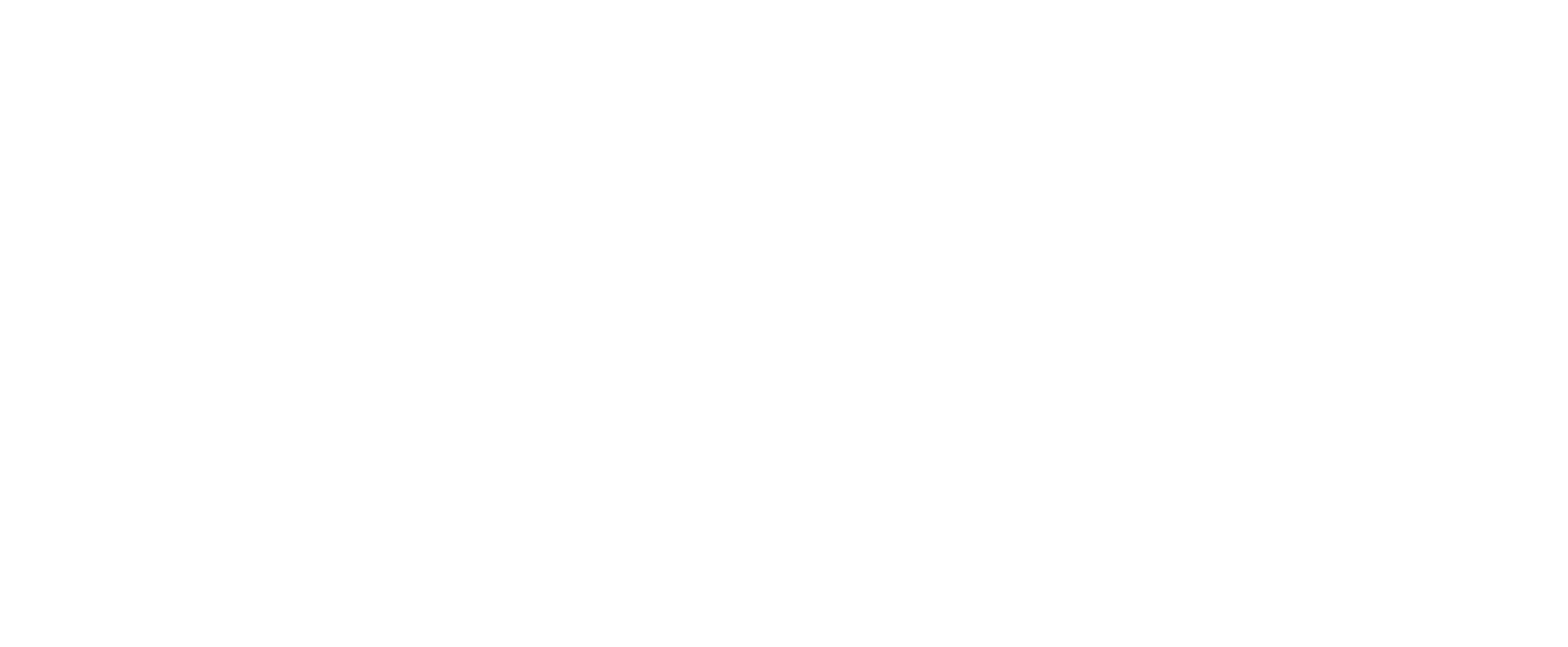 learai logo partner